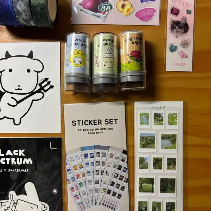 [BUNJANG] Sanrio Pochacco Pocketmon Pendorri Snoopy Hinakuu Kusungi Pororo Keyring / 띠부씰 키링 산리오 포차코 포켓몬 펭도리 스누피 히나쿠우 쿠숭이 뽀로로