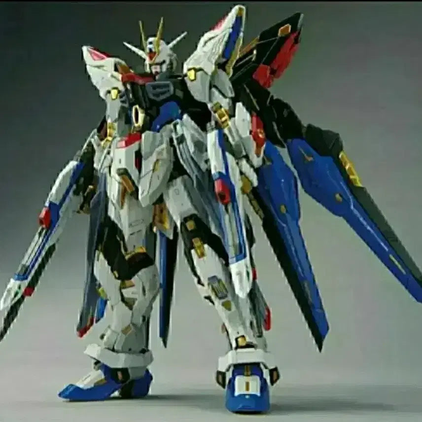 [BUNJANG] MGEX Strike Freedom Gundam Model Kit / MGEX 스트라이크 프리덤 건담 건프라 프라모델 건베 건담베이스 로봇
