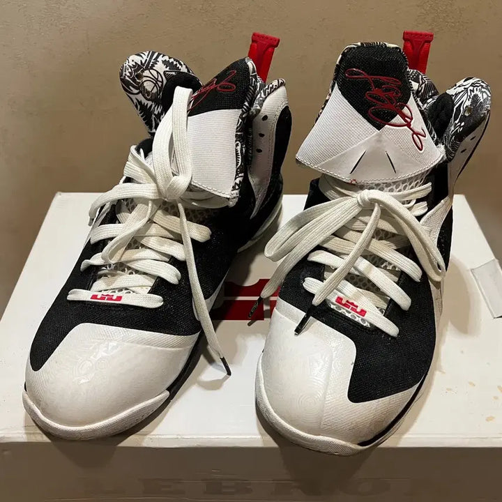 [BUNJANG] Nike LeBron 9 Freegums Basketball Shoes - Size 275 / 농구화 르브론 9 프리검스 - 사이즈 275