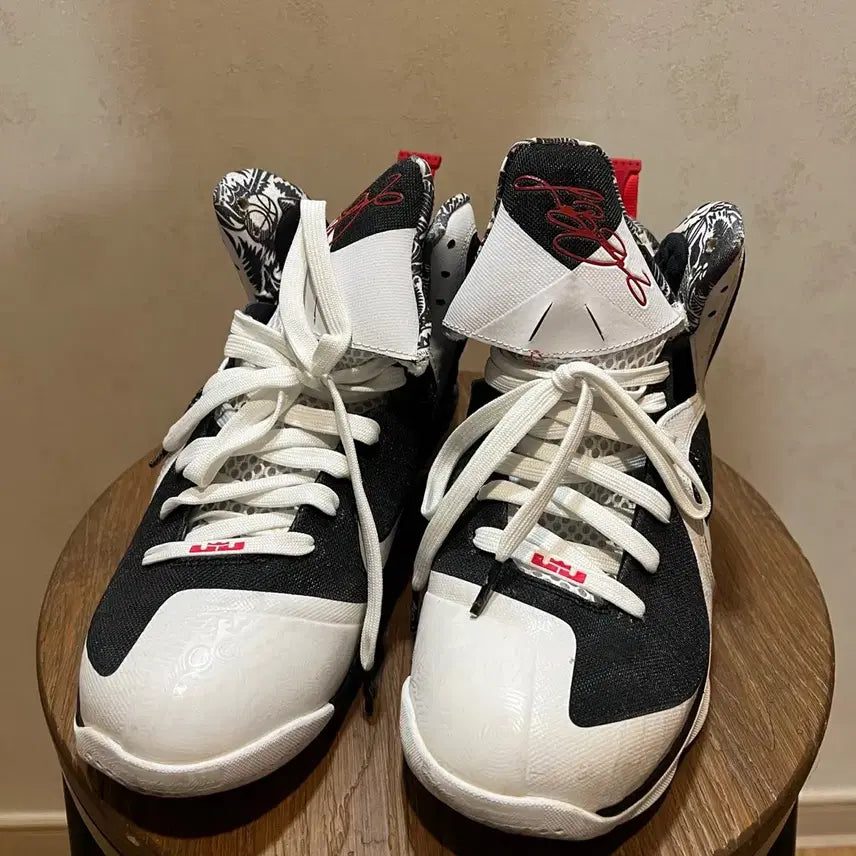 [BUNJANG] Nike LeBron 9 Freegums Basketball Shoes - Size 275 / 농구화 르브론 9 프리검스 - 사이즈 275