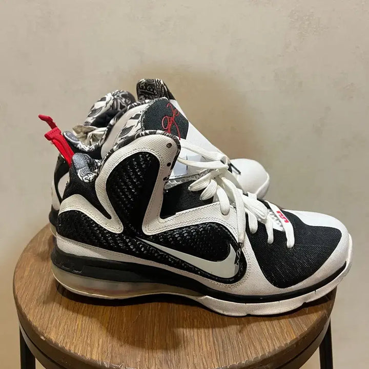 [BUNJANG] Nike LeBron 9 Freegums Basketball Shoes - Size 275 / 농구화 르브론 9 프리검스 - 사이즈 275