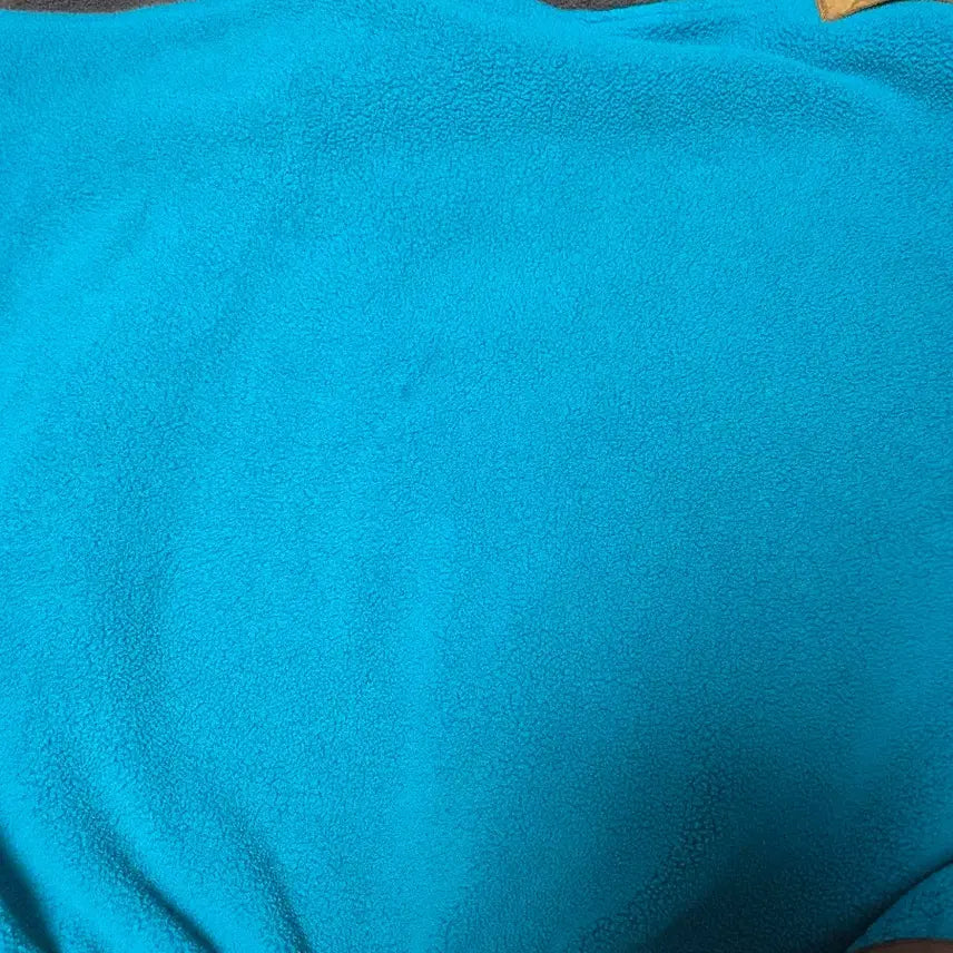 [BUNJANG] Patagonia Synchilla Pullover XXL / 빈티지 파타고니아 신칠라 XXL