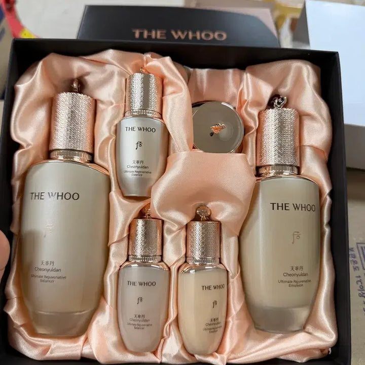 [BUNJANG] The Whoo Cheonyuldan 2-Piece Set / 더후 천율단 2종세트