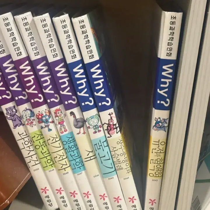 [BUNJANG] Why Science Comics Bundle Set / Why 초등과학학습만화 50권 싸게 팝니다