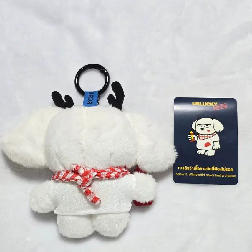 [BUNJANG] KOLDER Unlucky Club My White Shirt Version Doll / KOLDER 언럭키클럽 블라인드 박스 인형 마이와이트셔츠 버전