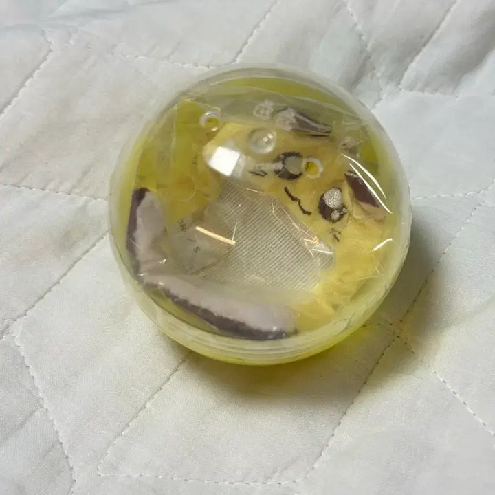 [BUNJANG] Hamster Gacha Photocard Holder / 햄토리 가챠 포토홀더 증명사진