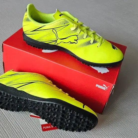 [BUNJANG] Puma Futsal Shoes 255mm / 푸마풋살화 255