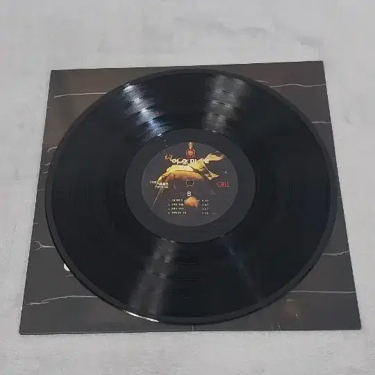 [BUNJANG] Lee Eun-mi 2nd Album 1994 Early LP Collection / 이은미2집 94년도 초반LP 희귀컬랙션반.어떤그리움.그댈위한 이노래