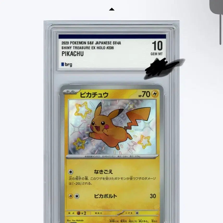 [SOLD OUT] 포켓몬 카드 SV4a 236 피카츄 이로치 BRG10 등급