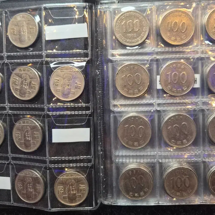 [BUNJANG] 100 Won Coin Collection Album (1970-2019) / 100원 줄세우기 수집앨범 (1970년~2019년)