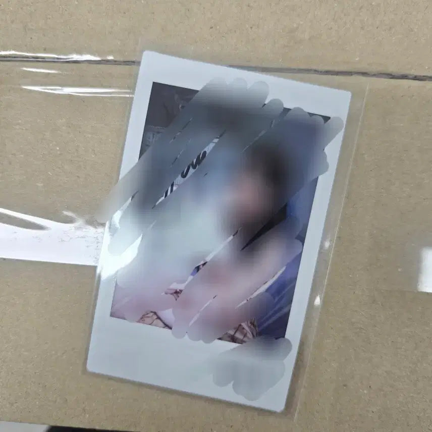 세이마이네임 카니 사인 폴라로이드