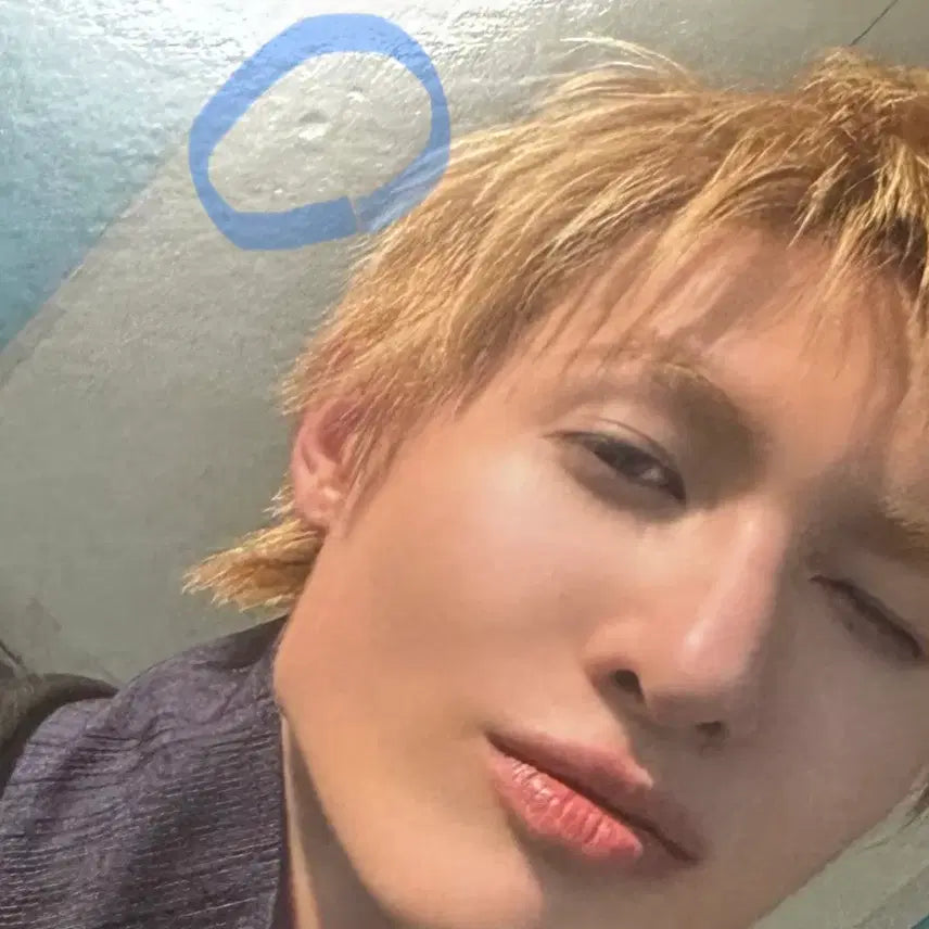 코르티스 마틴 시그 포카