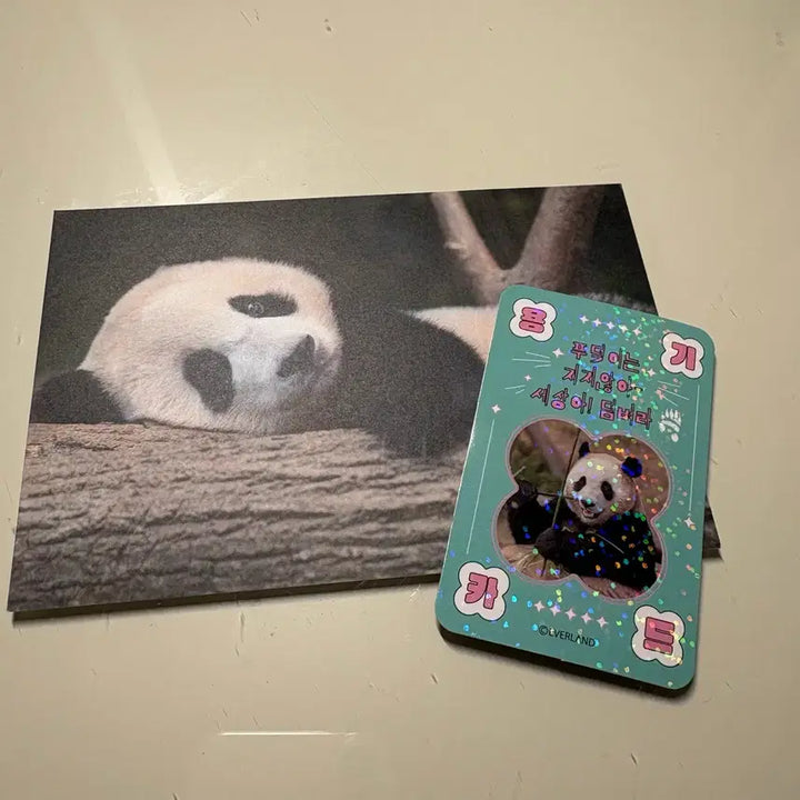 [BUNJANG] Stationery Bundle Set / 다꾸용품 일괄 만원