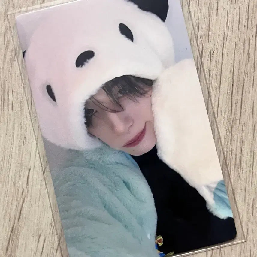 엑스러브 하루 미공포 포토카드 양도 xlov pc poca sell