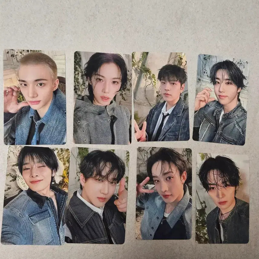 스트레이키즈 hollow japan 특전포카 8종 청청