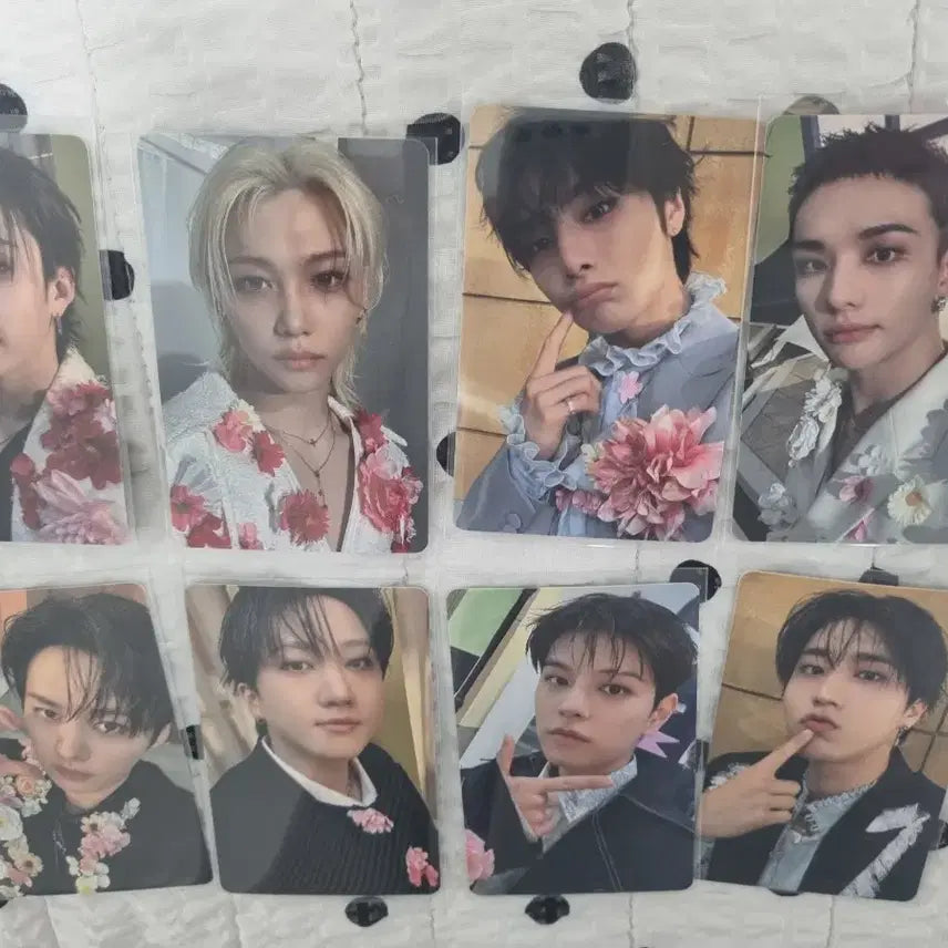 스트레이키즈 hollow japan 특전포카 8종 꽃