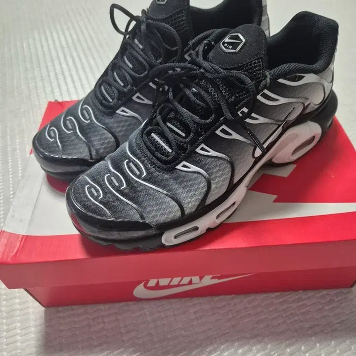 [BUNJANG] Nike Air Max Plus Black Metallic Silver Sneakers / 나이키 에어맥스 플러스 블랙 메탈릭 실버(DM0032-003)