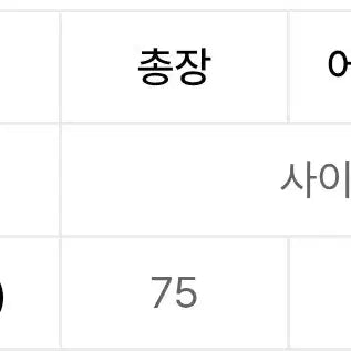 [BUNJANG] Beyond Closet Hidden Lining Blazer Jacket / 비욘드클로젯 히든 라이닝 블레이저 자켓