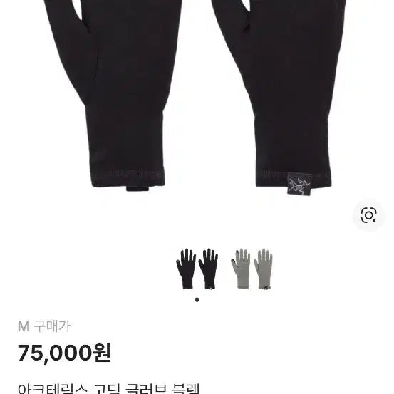 [BUNJANG] Arc'teryx Gothic Gloves Black (M/L/XL) / 아크테릭스 고딕 글러브 블랙 새상품(M,L,XL)