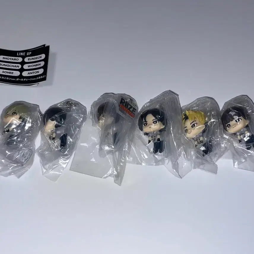 [BUNJANG] RIIZE Shotaro Wonbin Sohee Anton Sungchan Eunseok Keychain Bundle Set / 라이즈 톡색시 키링 대롱 일괄 세트 쇼타로 원빈 소희 앤톤 성찬 은석
