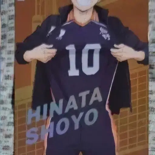 [BUNJANG] Haikyu Hinata Bundle Set Goods / 하이큐 히나타 굿즈 일괄 판매