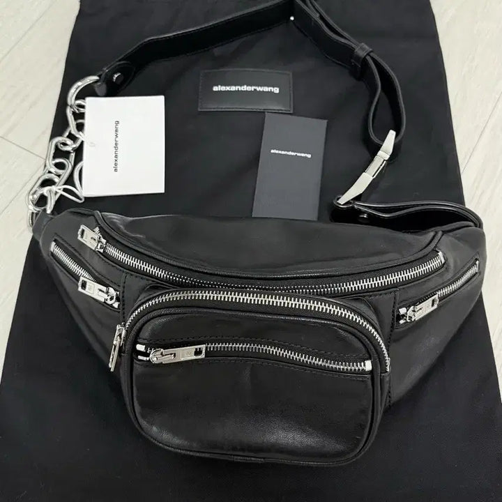 [BUNJANG] Alexander Wang Bag / 알렉산더왕 가방 패니백 숄더백 도트백