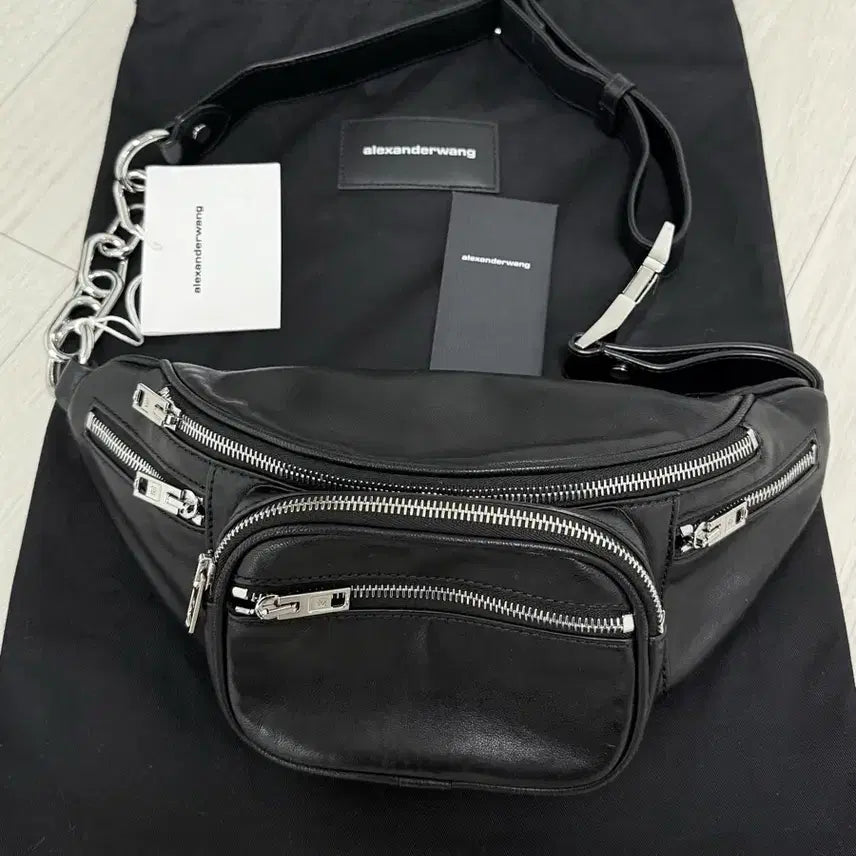[BUNJANG] Alexander Wang Bag / 알렉산더왕 가방 패니백 숄더백 도트백