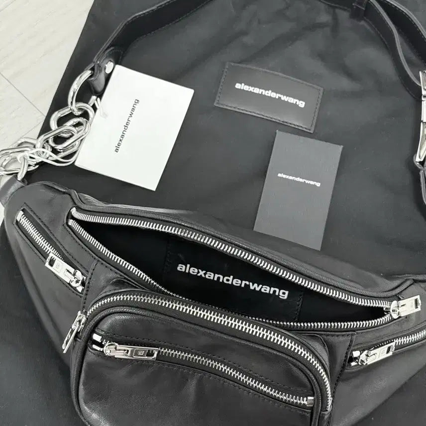 [BUNJANG] Alexander Wang Bag / 알렉산더왕 가방 패니백 숄더백 도트백