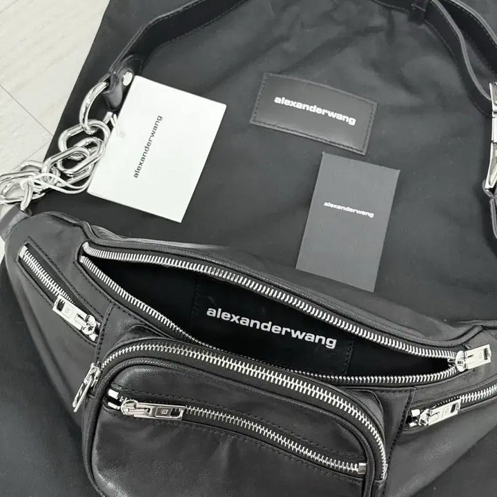 [BUNJANG] Alexander Wang Bag / 알렉산더왕 가방 패니백 숄더백 도트백