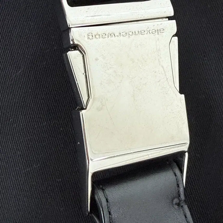 [BUNJANG] Alexander Wang Bag / 알렉산더왕 가방 패니백 숄더백 도트백