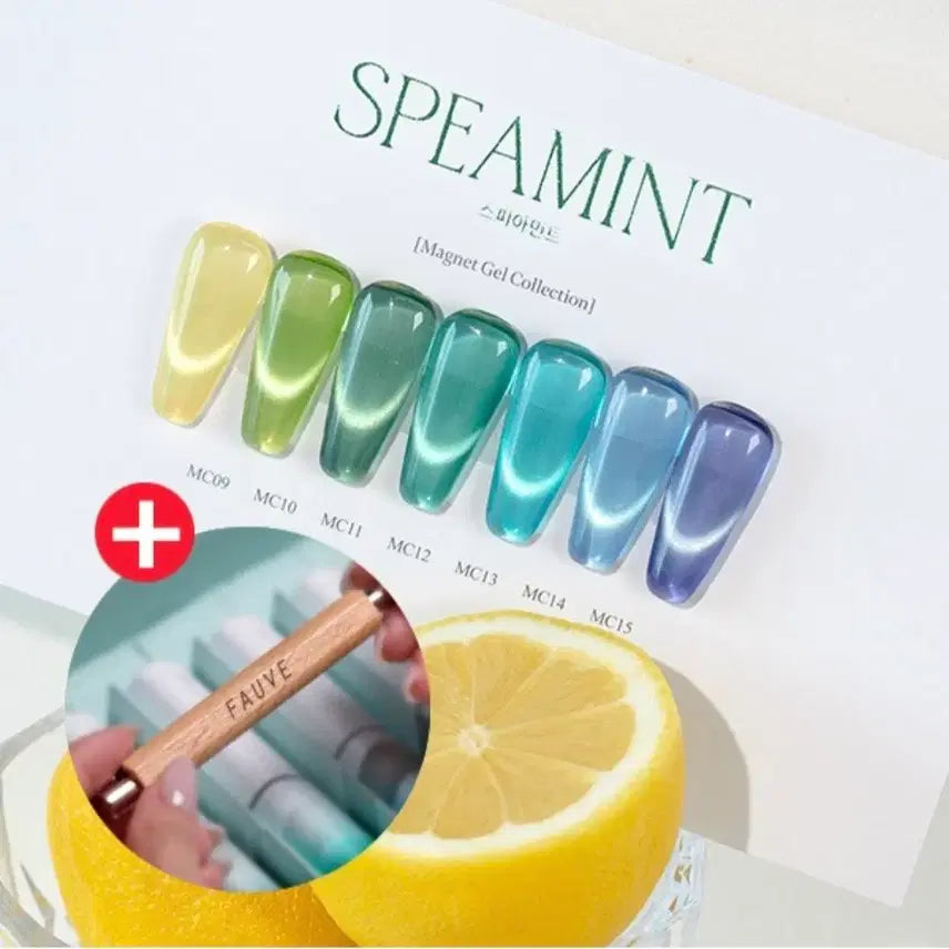 [BUNJANG] Assorted Nail Art Set / 자석젤7종세트 틴트젤8종세트일괄