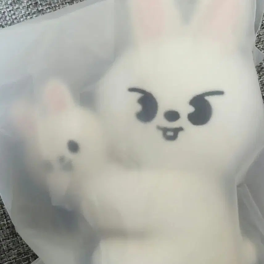 스트레이키즈 스키즈 스키주 리빗 허그 마그넷 플러시 인형 리노