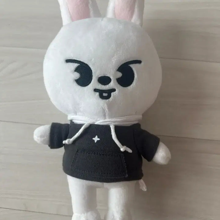 [BUNJANG] SKZ RIIBIT Plush / 대왕 리빗 스키주 양도