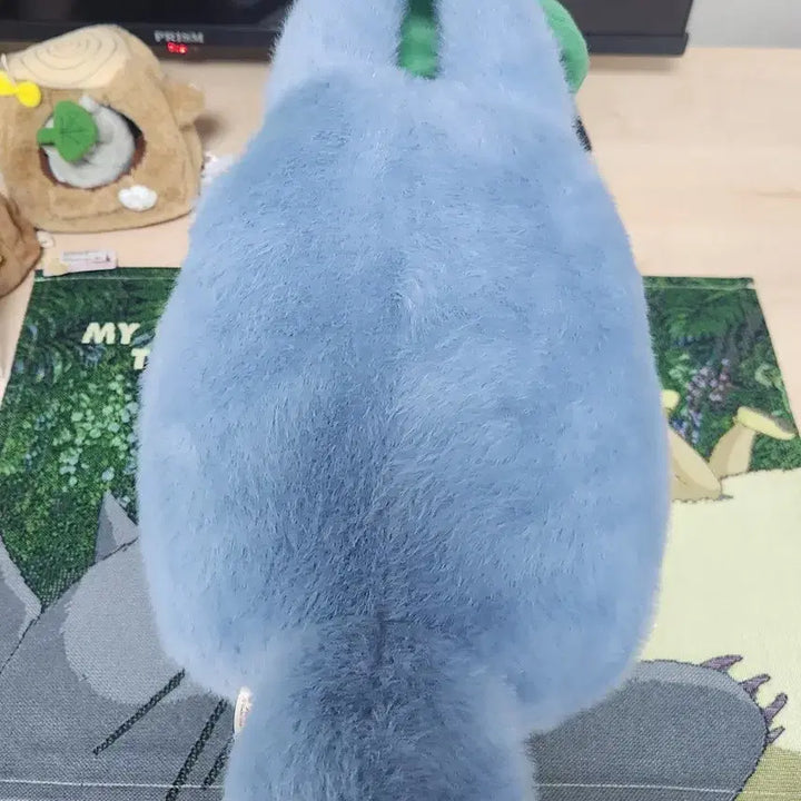 [BUNJANG] Studio Ghibli Leaf Medium Totoro / 지브리정품)<처분중> 일본신상 연잎 중토토로 M