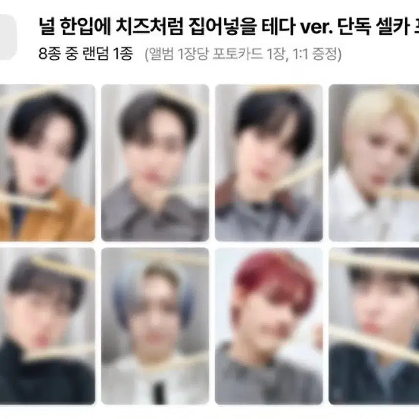 [SOLD OUT] 에이티즈 ATEEZ 디어마이뮤즈 디마뮤 치즈 미공포 포토카드 1set