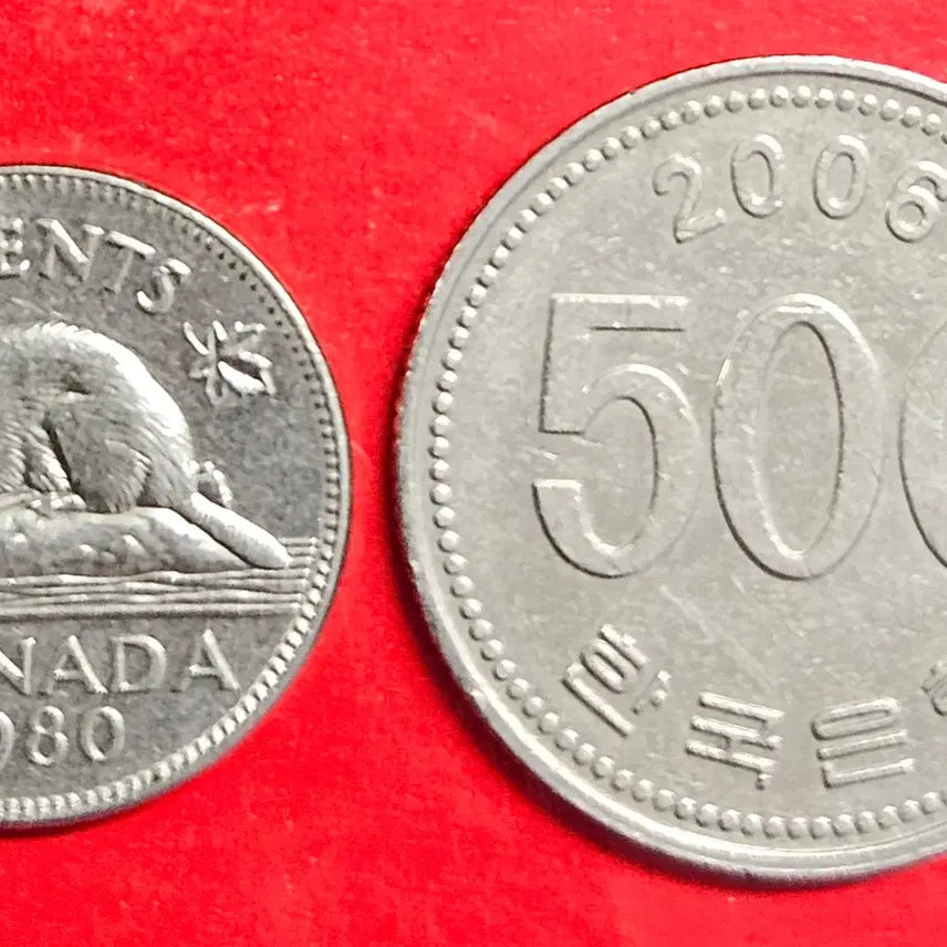 [BUNJANG] 1980 Canada Beaver 5 Cent Coin / 1980 카나다 비버 5센트 M723