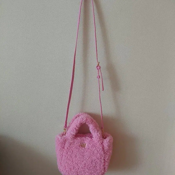 [BUNJANG] Lap Poggiri Tote Bag / LAP 뽀글이 토트가방