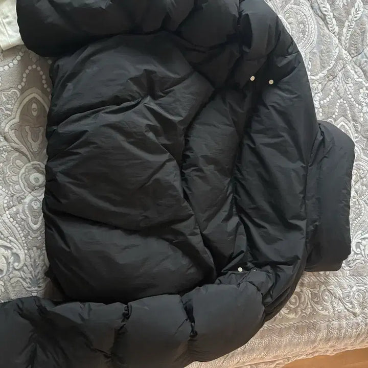 [BUNJANG] BeSlow Purple Curved Line Short Puffer Down Outer Black M / 비슬로우 퍼플 커브드 라인 숏패딩 푸퍼 다운 아우터 블랙 M