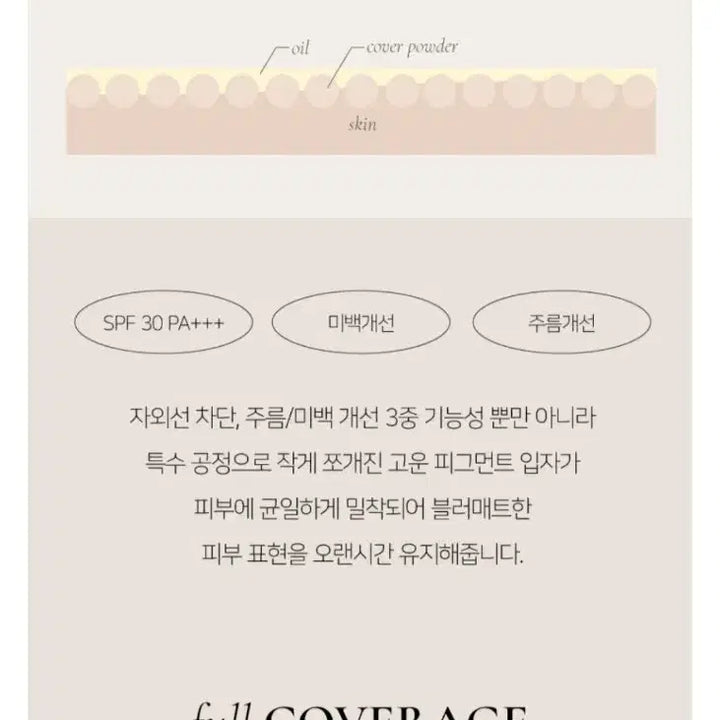 [BUNJANG] Dinto 21 Pure Uncho Foundation Bundle / [새상품] 딘토 21호 블러매트 파운데이션 4개 일괄 특가