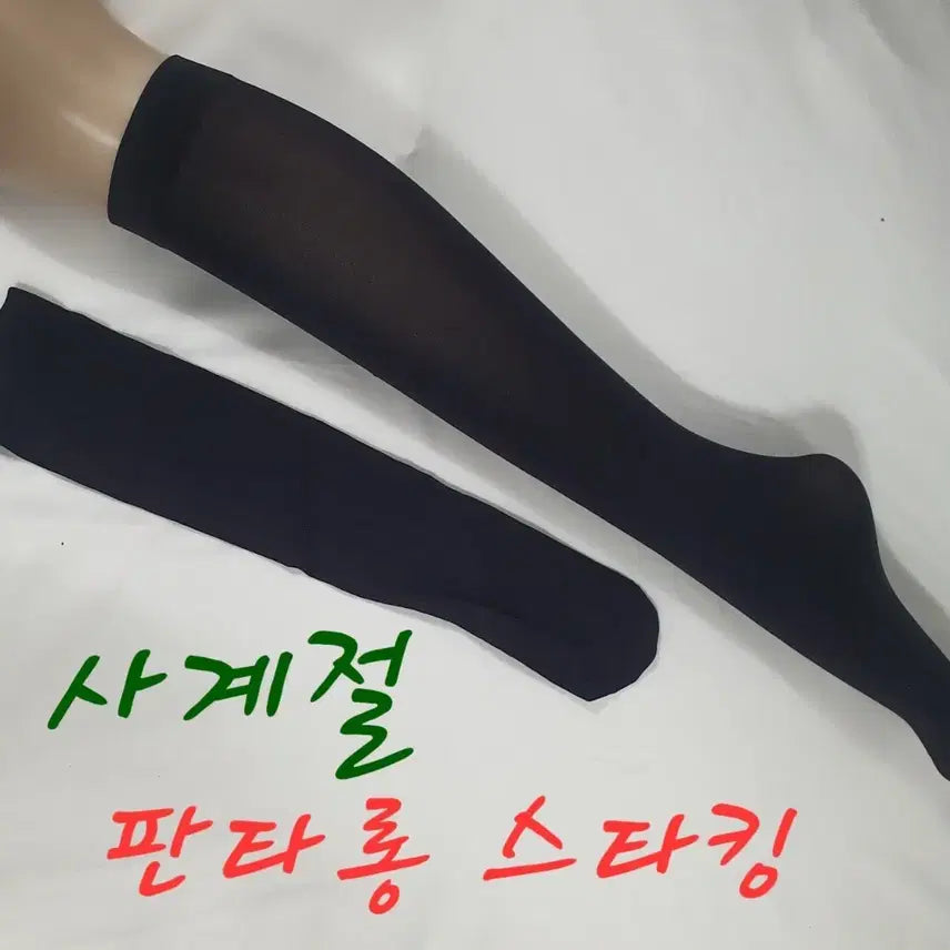 [BUNJANG] Pantyhose 200 Pairs / 팬타롱스타킹(120켤레)마지막상품