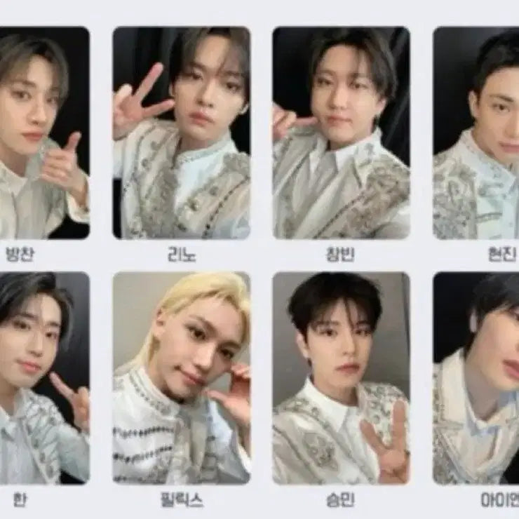 (일괄) 스트레이키즈 영화 방찬 리노 창빈 현진 한 필릭스 승민 아이엔