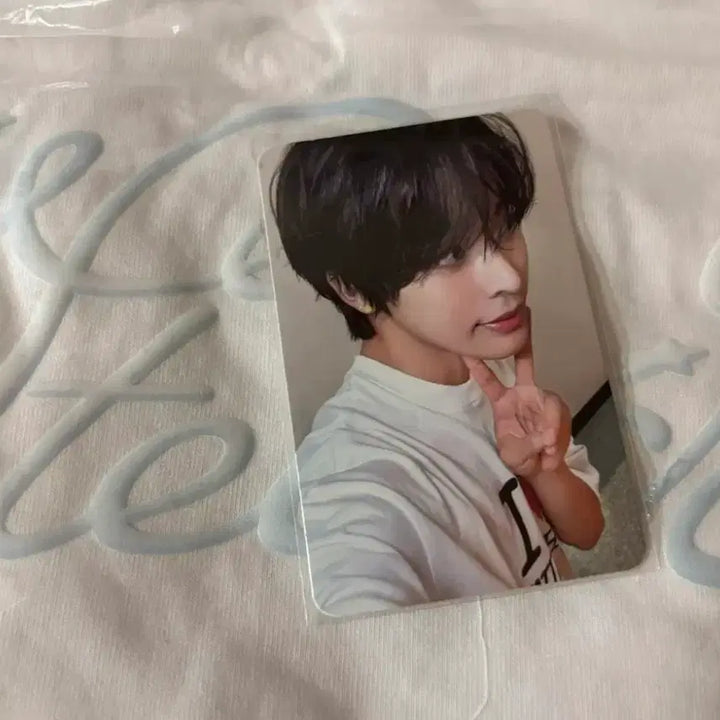 [BUNJANG] NCT WISH Riku Steady Popup MD T-shirt Bundle Set / 엔시티위시 리쿠 스테디 팝업 엠디 티셔츠 포카 일괄