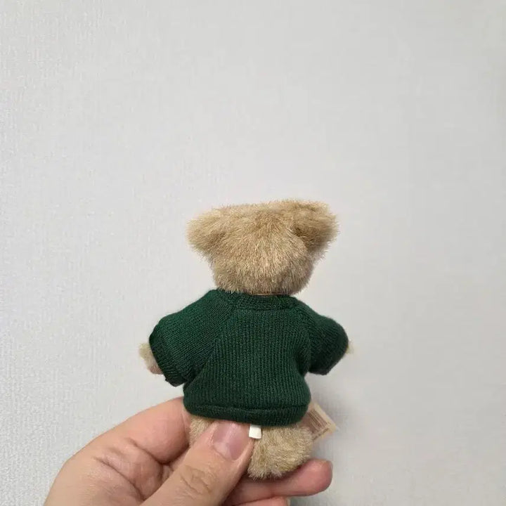 [BUNJANG] Boysbear Candy Cane T-shirt Doll / 보이즈베어 캔디케인 티셔츠 쪼꼬미