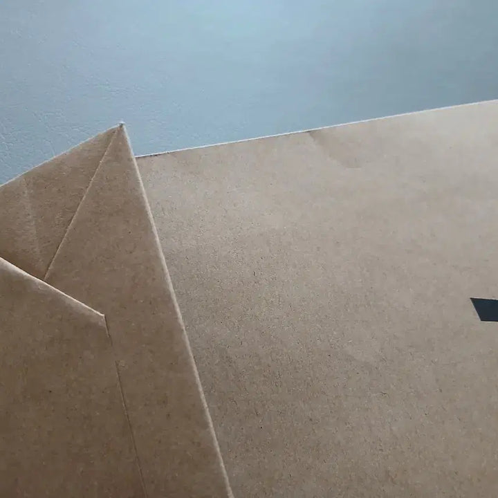 [BUNJANG] A.P.C. Shopping Bag / A.P.C. 쇼핑백 종이백