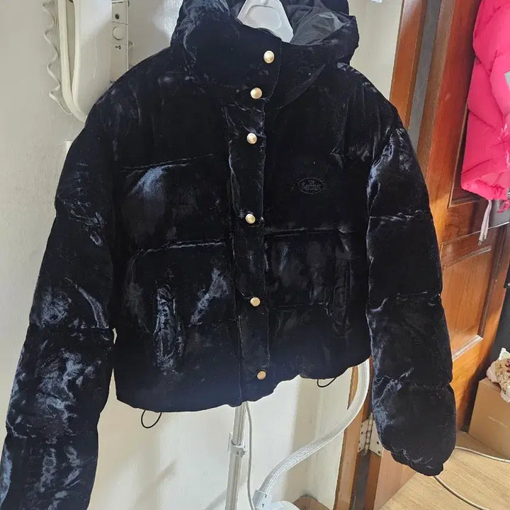 [BUNJANG] The Ballet Velvet Hooded Short Padded Jacket / 더바렛  벨벳패딩