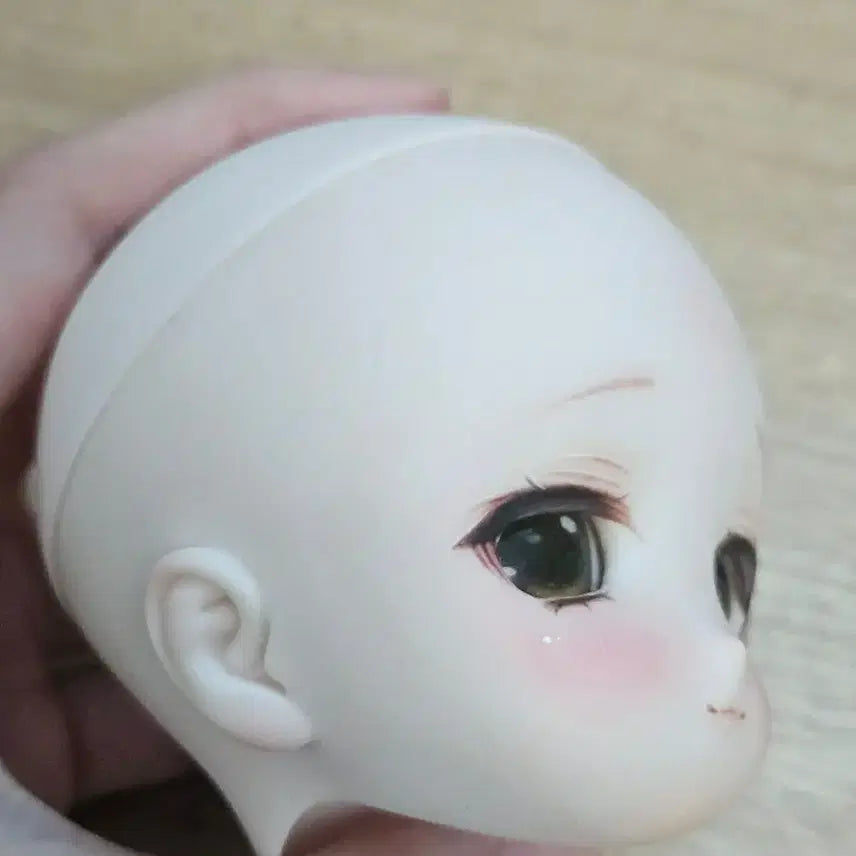 [BUNJANG] MDD Head Bundle / mdd 헤드 물포 일괄