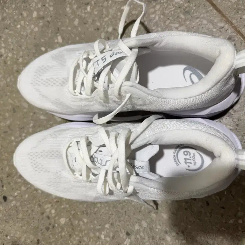 [BUNJANG] Asics Nova Blast 5 265 / 아식스 노바블라스트5 265