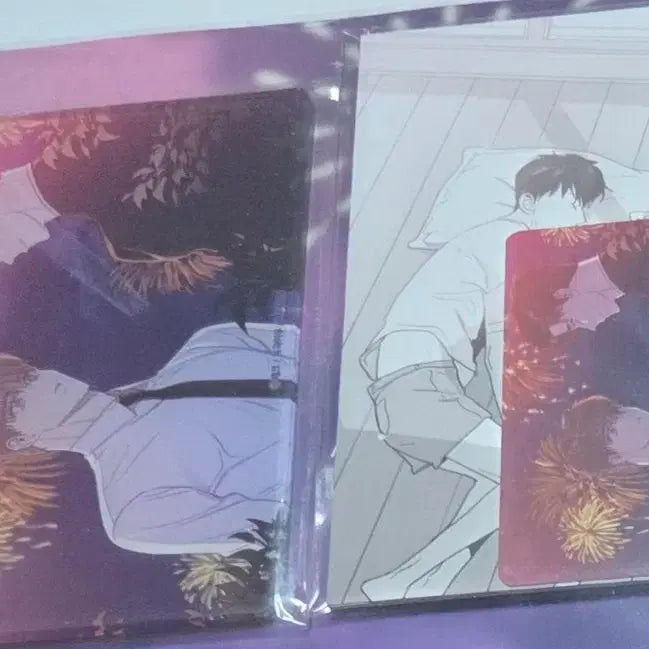 [BUNJANG] Loving Boy Set Zeck Exhibition Mofun / 사랑하는 소년 세트 제크 작가전 모펀