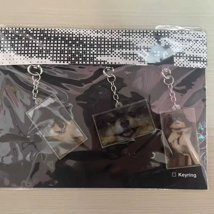 [BUNJANG] BTS V (Taehyung) Layover Tannie Keyring Set / BTS 방탄 태형 뷔 V 레이오버 탄이 키링세트