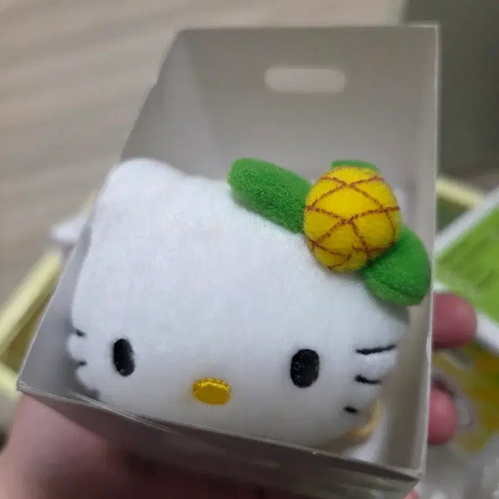 [BUNJANG] Vintage Hello Kitty Fruit Box Set / 고전 키티 과일박스 2종 세트